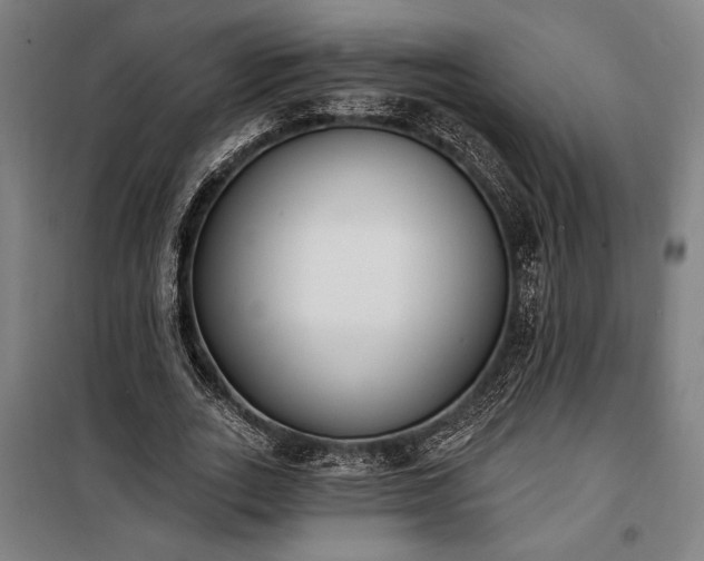 X0000100320727200806121103