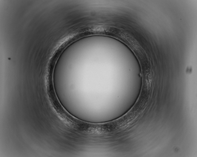 X0000100320728200806121103