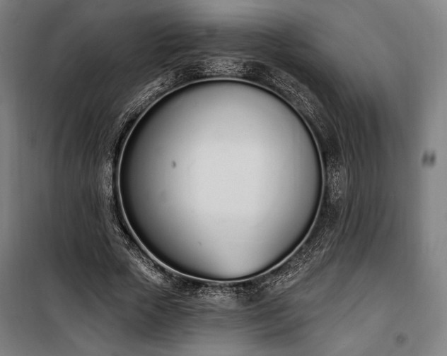 X0000100320729200806121103