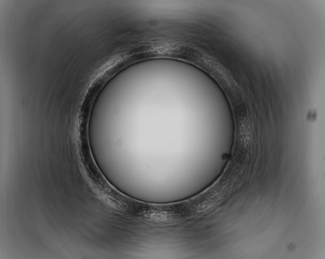 X0000100320730200806121103