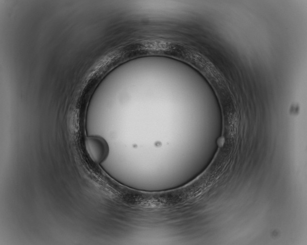 X0000100320731200806121103