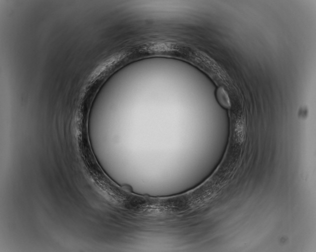 X0000100320732200806121103