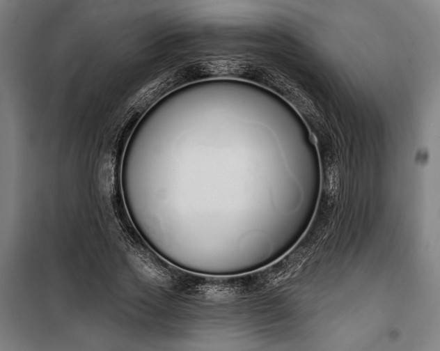 X0000100320733200806121103