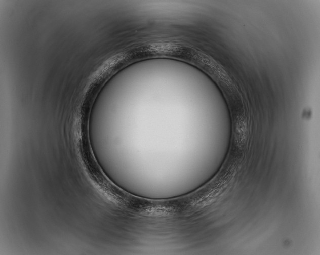 X0000100320734200806121103