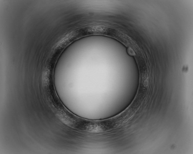 X0000100320735200806121103