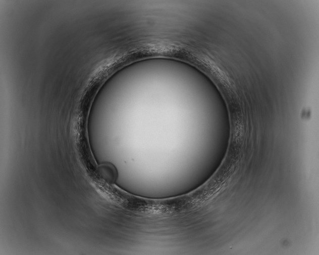 X0000100320736200806121103