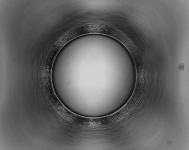 X0000100320737200806121103