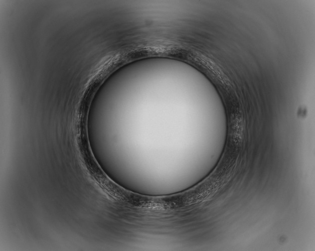 X0000100320738200806121103