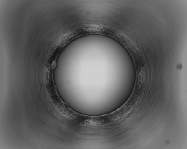 X0000100320739200806121103