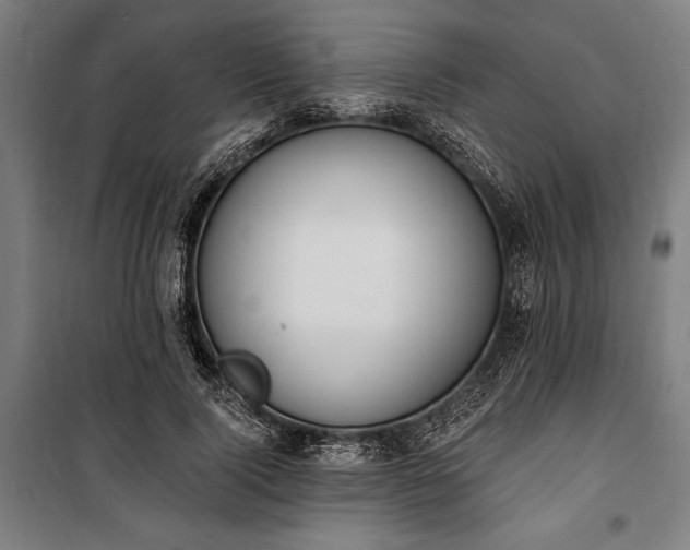 X0000100320740200806121103