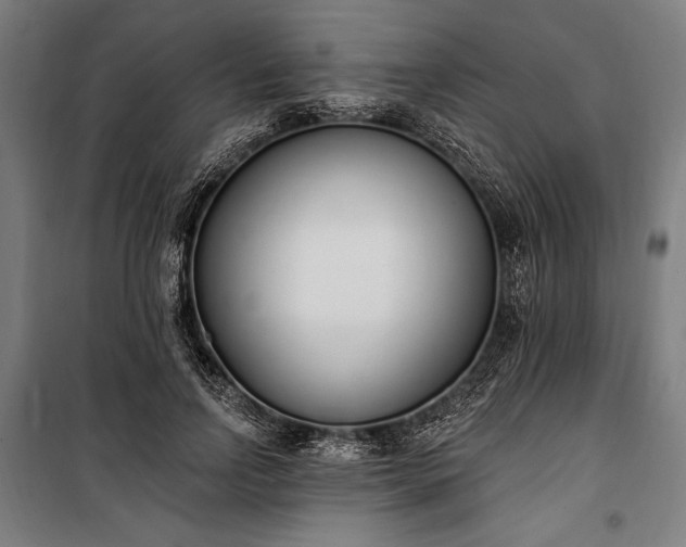 X0000100320742200806121103