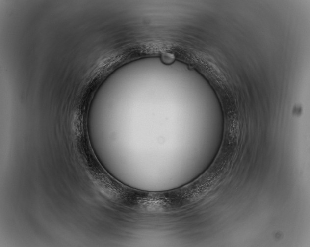 X0000100320743200806121103