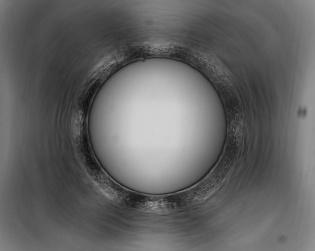 X0000100320744200806121103