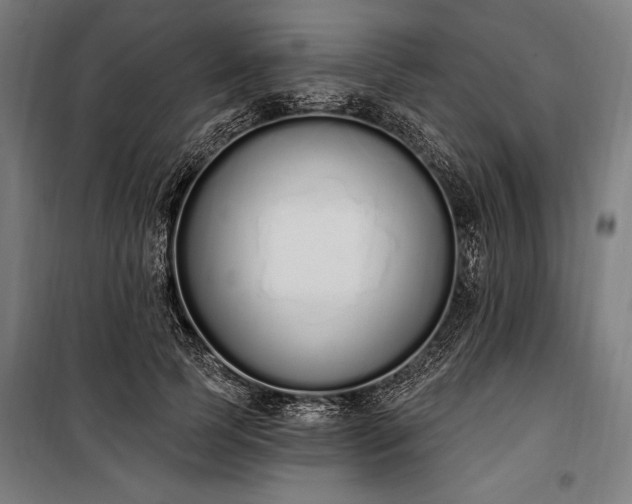 X0000100320745200806121103