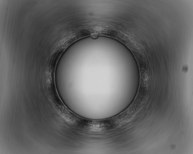 X0000100320746200806121103