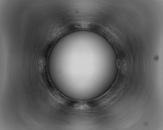 X0000100320747200806121103