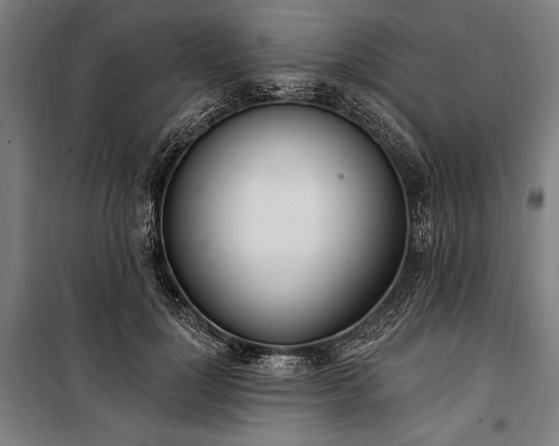 X0000100320748200806121103