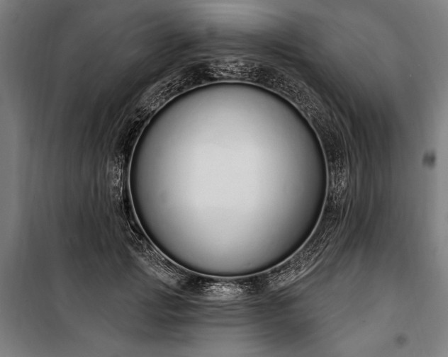 X0000100320749200806121103