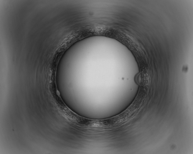 X0000100320750200806121103