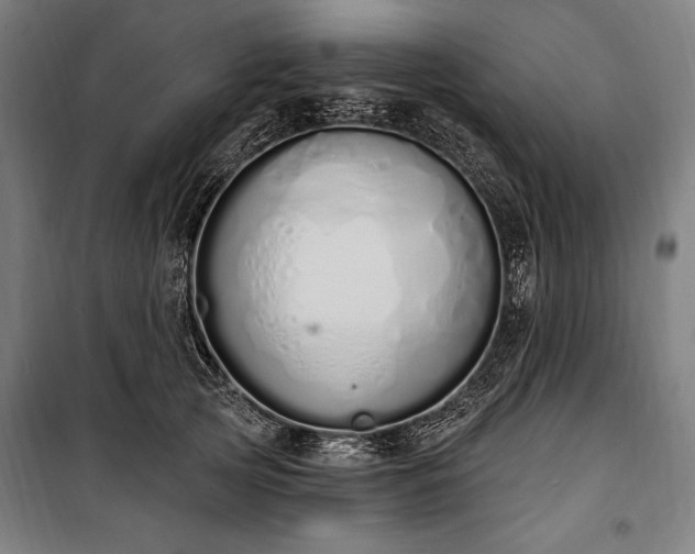 X0000100320753200806121104