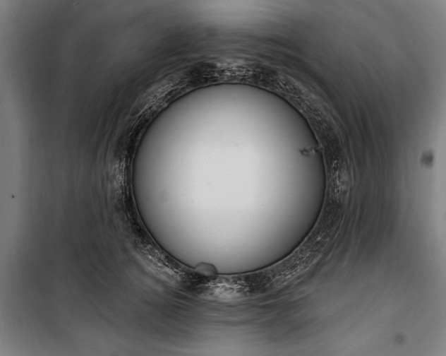 X0000100320756200806121104