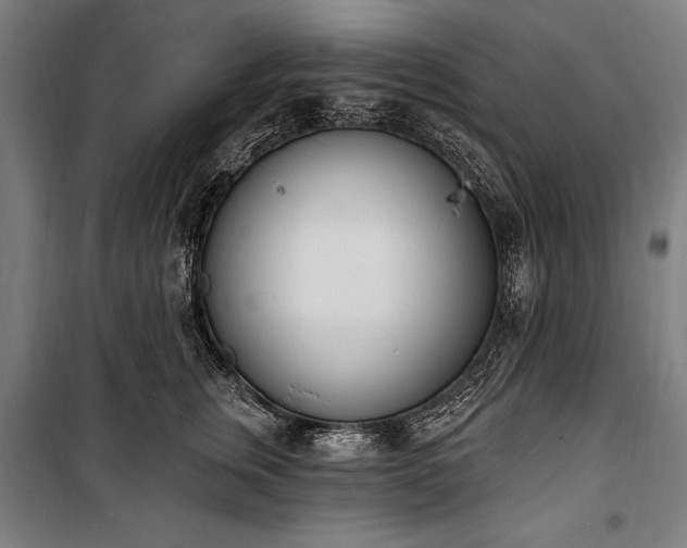 X0000100320759200806121104