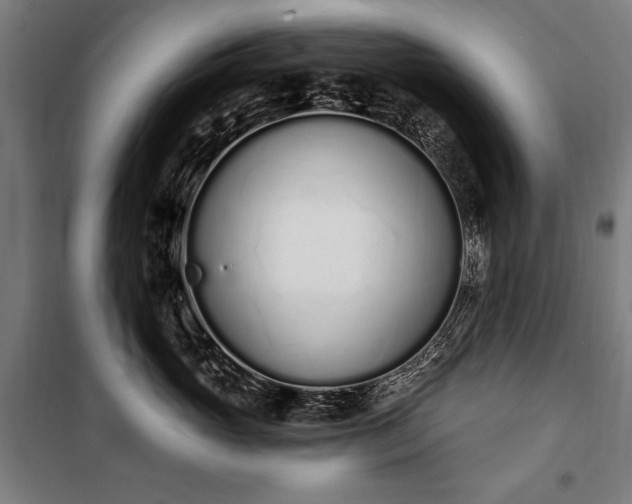 X0000100320765200806121104