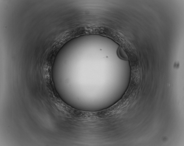 X0000100320770200806121103