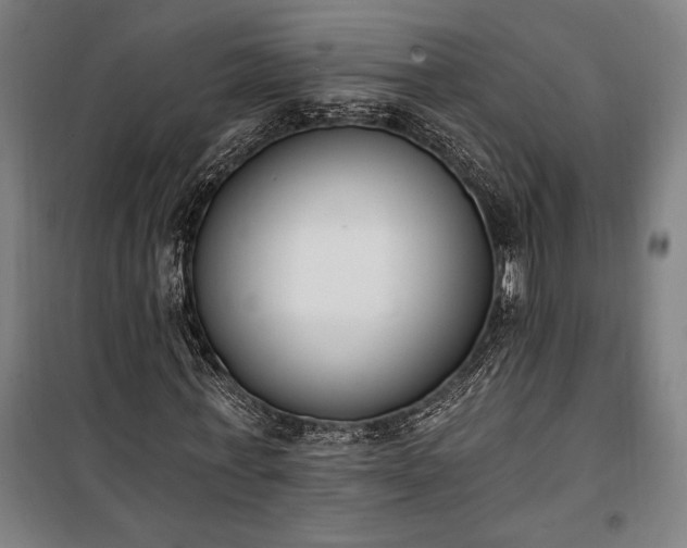 X0000100320771200806121103