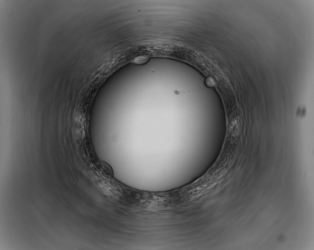 X0000100320772200806121103