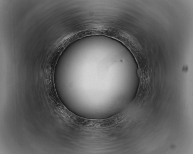 X0000100320773200806121103