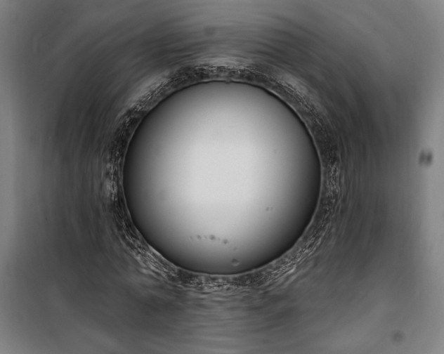 X0000100320774200806121103