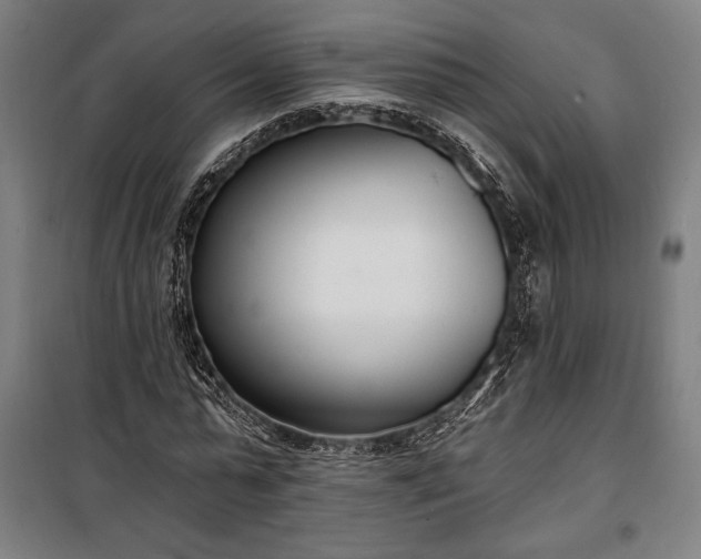 X0000100320775200806121103