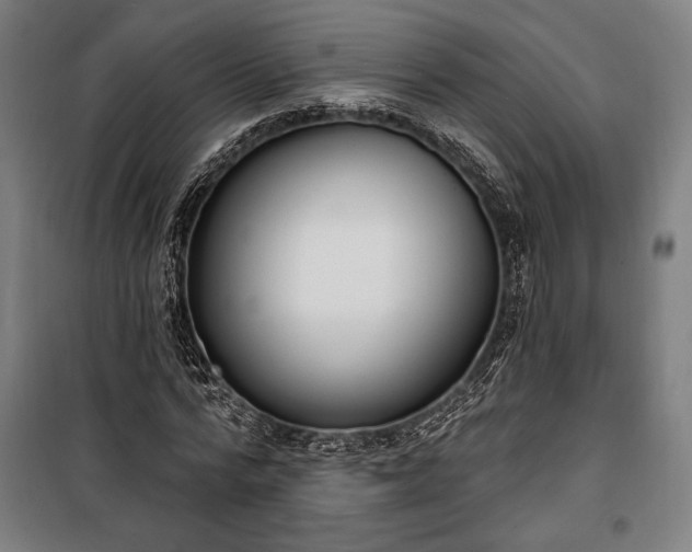 X0000100320776200806121103