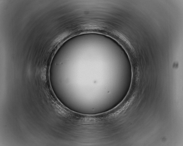 X0000100320777200806121103