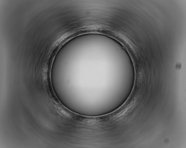 X0000100320778200806121103