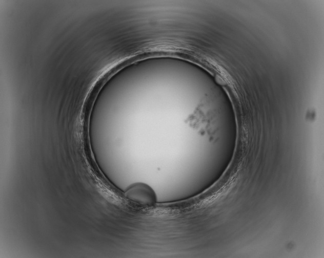 X0000100320779200806121103