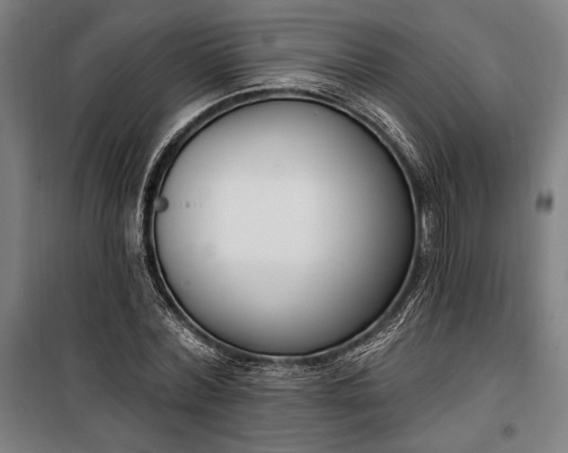 X0000100320780200806121103