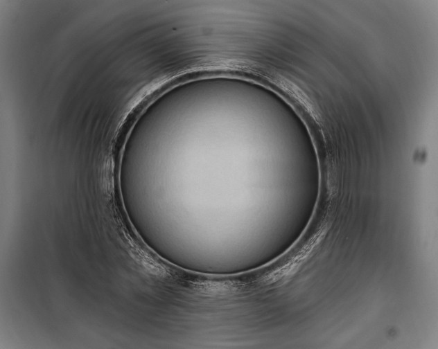 X0000100320781200806121103