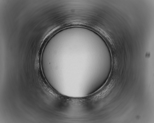 X0000100320782200806121103