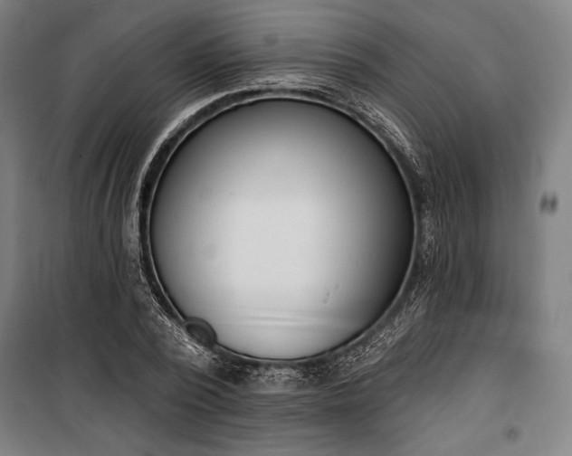 X0000100320784200806121103