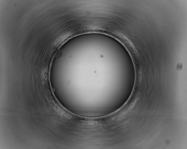 X0000100320785200806121103