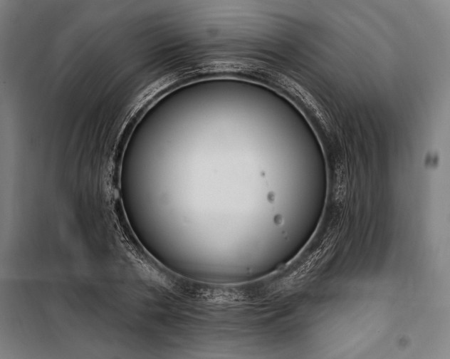 X0000100320786200806121103