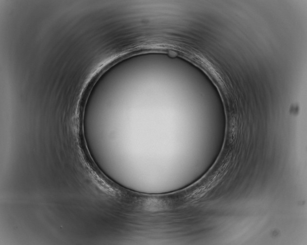 X0000100320787200806121103