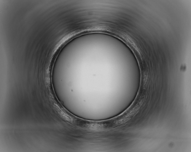 X0000100320789200806121103