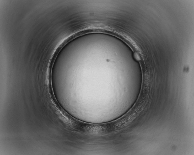 X0000100320791200806121103