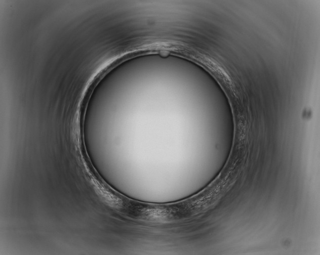 X0000100320792200806121103