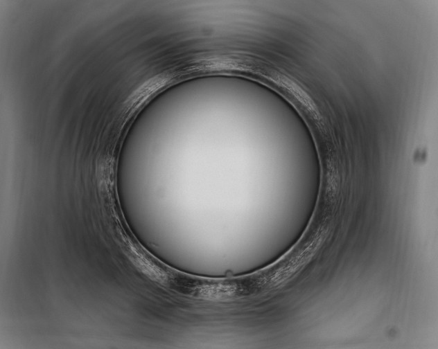 X0000100320793200806121103