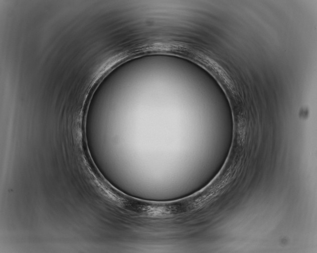 X0000100320794200806121103