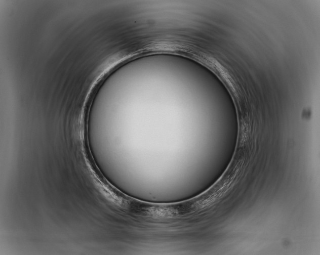 X0000100320795200806121103